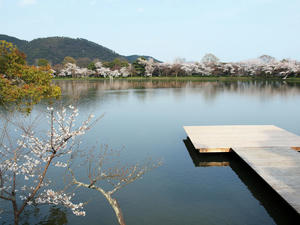 20100408_164shuusei.jpg