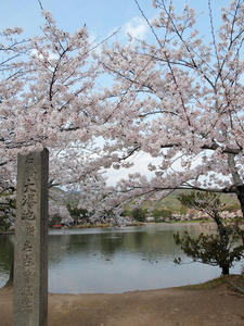 20100408_176shuusei.jpg