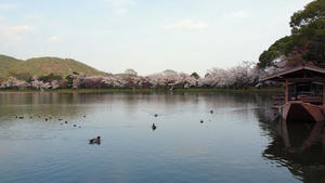 20100408_181shuusei.jpg