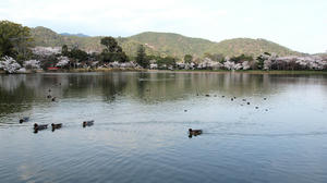 20100408_184shuusei.jpg