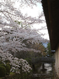 20100408_187shuusei.jpg