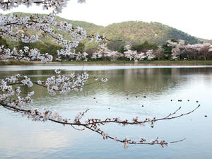 20100408_189shuusei.jpg