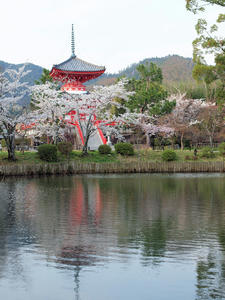 20100408_192shuusei.jpg
