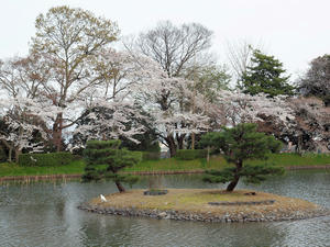 20100408_200shuusei.jpg