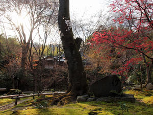 20100408_205shuusei.jpg