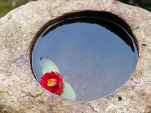 20100408_212shuusei.jpg
