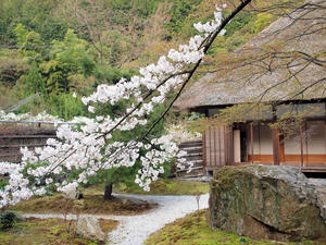 20100408_224shuusei.jpg