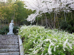 20100408_230shuusei.jpg