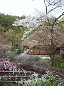 20100408_235shuusei.jpg