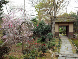 20100408_238shuusei.jpg