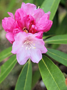 20100408_240shuusei.jpg