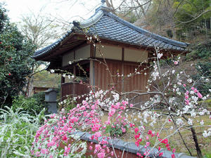 20100408_226shuusei.jpg