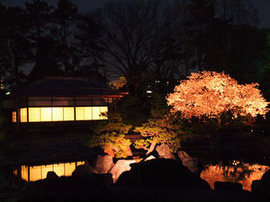 20100408_289shuusei.jpg