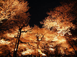 20100408_292shuusei.jpg