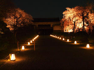20100408_295shuusei.jpg
