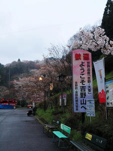 20100408_1131shuusei.jpg