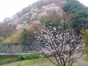 20100408_1133shuusei.jpg