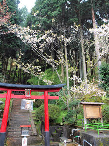 20100408_1135shuusei.jpg