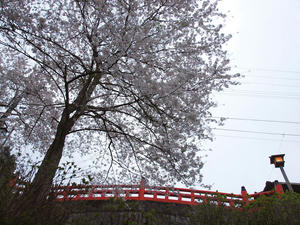 20100408_1154shuusei.jpg