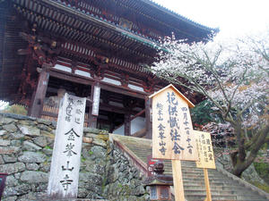 20100408_1172shuusei.jpg