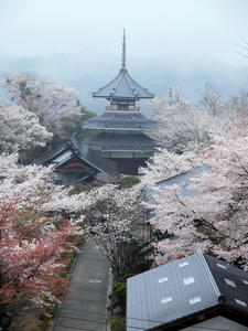 20100408_1184shuusei.jpg