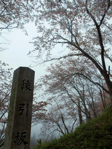 20100408_1215shuusei.jpg