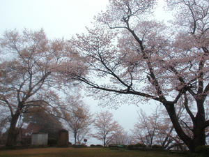 20100408_1212shuusei.jpg