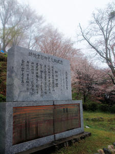 20100408_1211shuusei.jpg