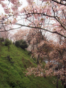 20100408_1208shuusei.jpg