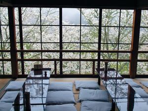 20100408_1240shuusei.jpg