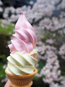 20100408_1254shuusei.jpg