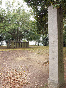 20100408_1259shuusei.jpg