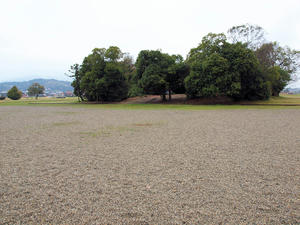 20100408_1258shuusei.jpg