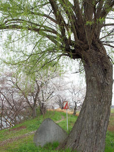 20100408_1265shuusei.jpg