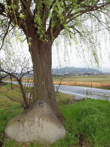 20100408_1269shuusei.jpg