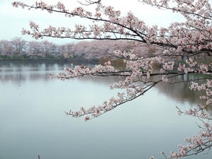 20100408_1271shuusei.jpg