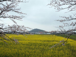 20100408_1275shuusei.jpg