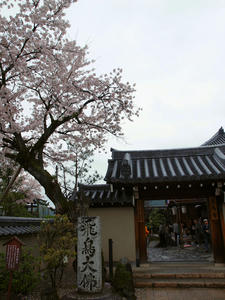 20100408_1291shuusei.jpg