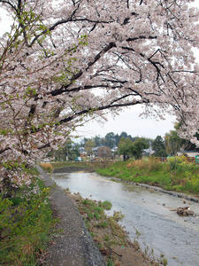 20100408_1305shuusei.jpg