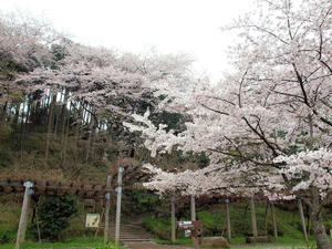 20100408_1309shuusei.jpg