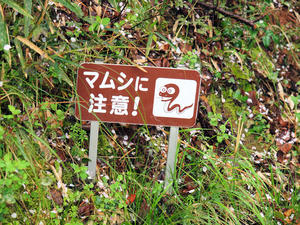20100408_1311shuusei.jpg
