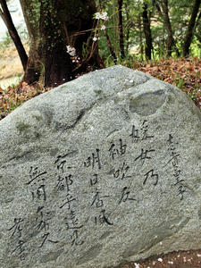 20100408_1314shuusei.jpg