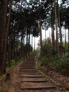 20100408_1315shuusei.jpg