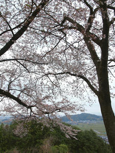 20100408_1331shuusei.jpg