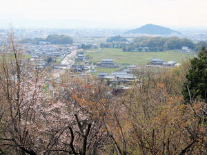 20100408_1329shuusei.jpg
