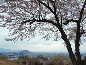 20100408_1326shuusei.jpg