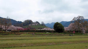 20100408_1344shuusei.jpg