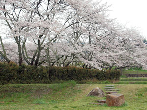 20100408_1346shuusei.jpg