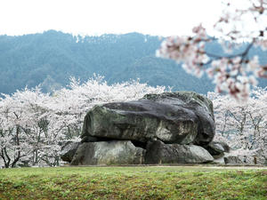 20100408_1359shuusei.jpg