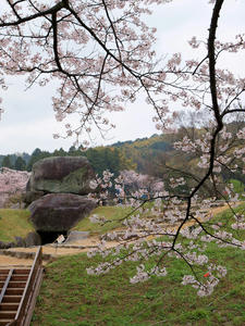 20100408_1381shuusewi.jpg